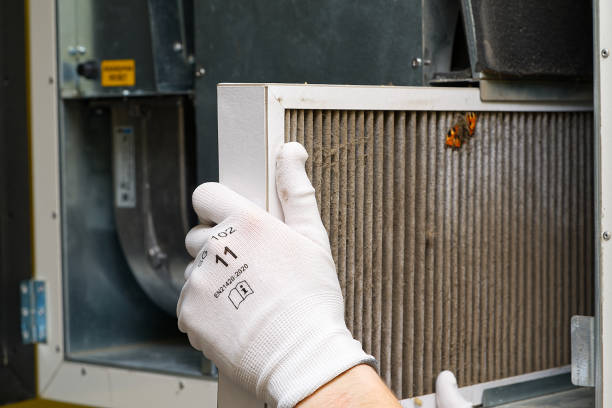Best Ductwork Cleaning Services  in Mledgevle, IL